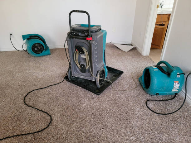 Best Flood damage cleanup  in Steelton, PA