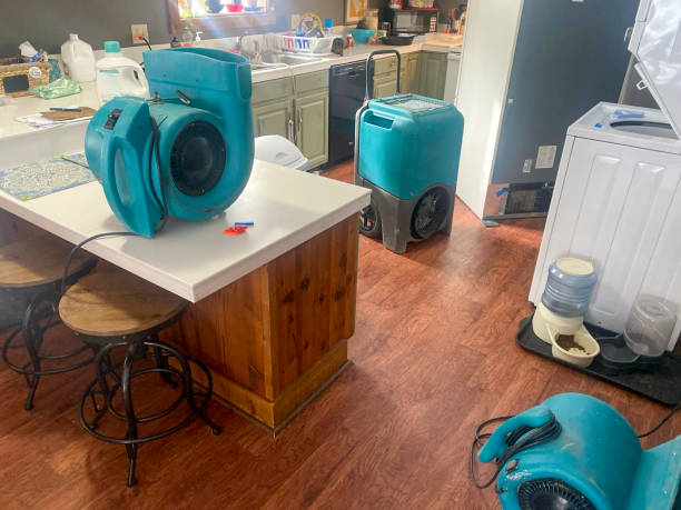 Best 24-hour water damage restoration  in Steelton, PA
