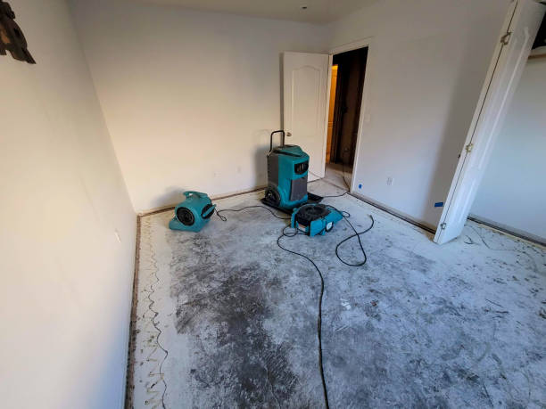 Best Water damage restoration near me  in Steelton, PA
