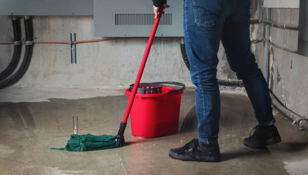Best Residential water damage restoration  in Steelton, PA