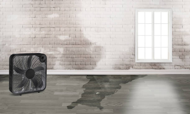 Water damage restoration experts in Steelton, PA