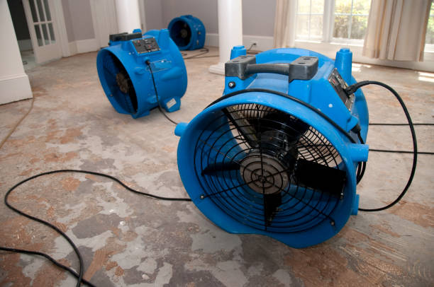 Best Flooded house restoration  in Steelton, PA