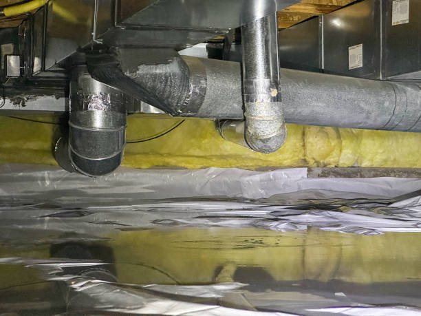 Best Basement water damage restoration  in Steelton, PA
