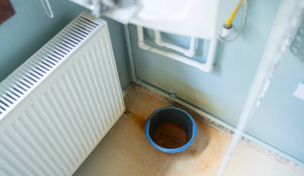 Best Local water damage restoration  in Steelton, PA