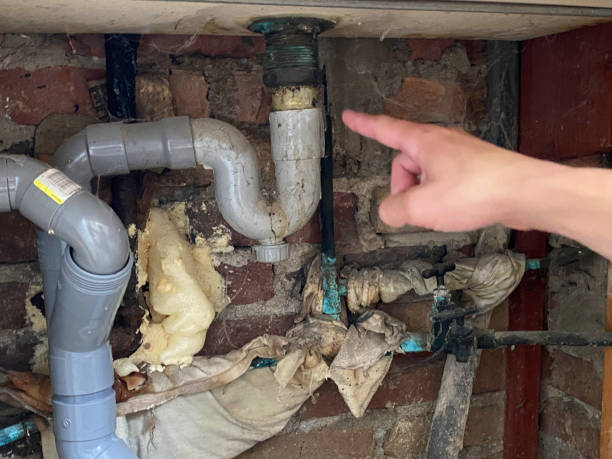 Best Water damage restoration experts  in Steelton, PA
