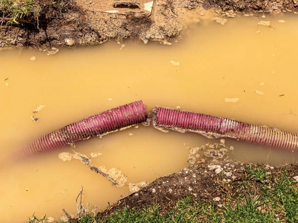  Steelton, PA Water damage restoration Pros