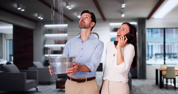 Best Water damage cleanup near me  in Steelton, PA