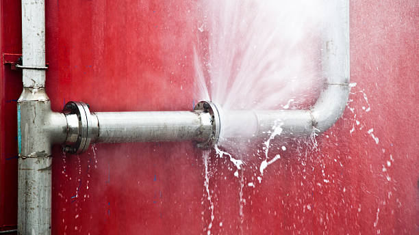 Best Carpet water damage restoration  in Steelton, PA